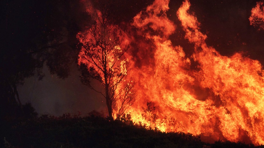 In the aftermath of the fire – Mairead Doyle