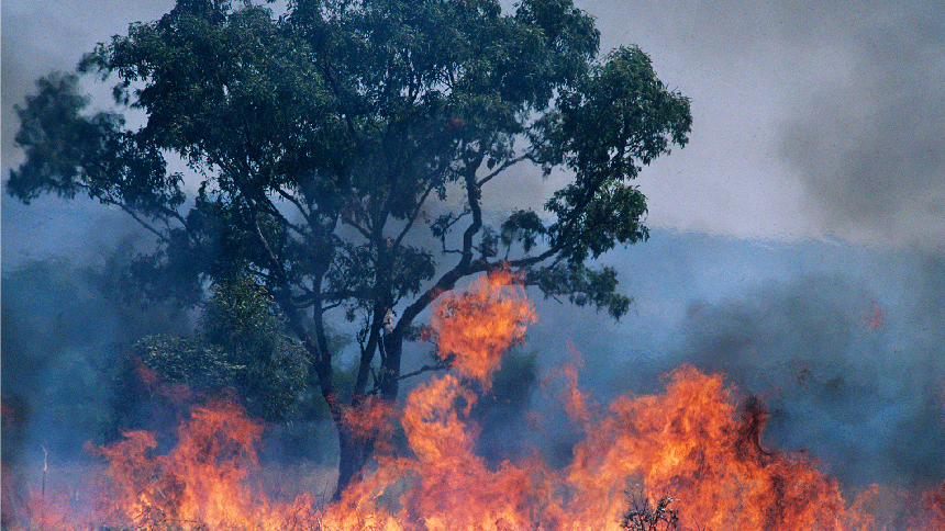 Australia gears up for bushfire season amid rising threats