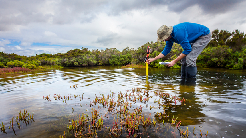 How is New Zealand driving resilience?