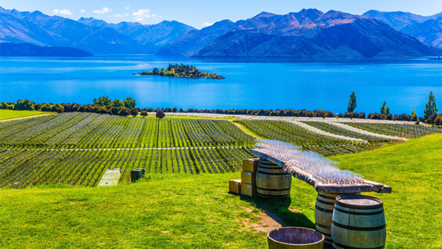 Getting wine across the line