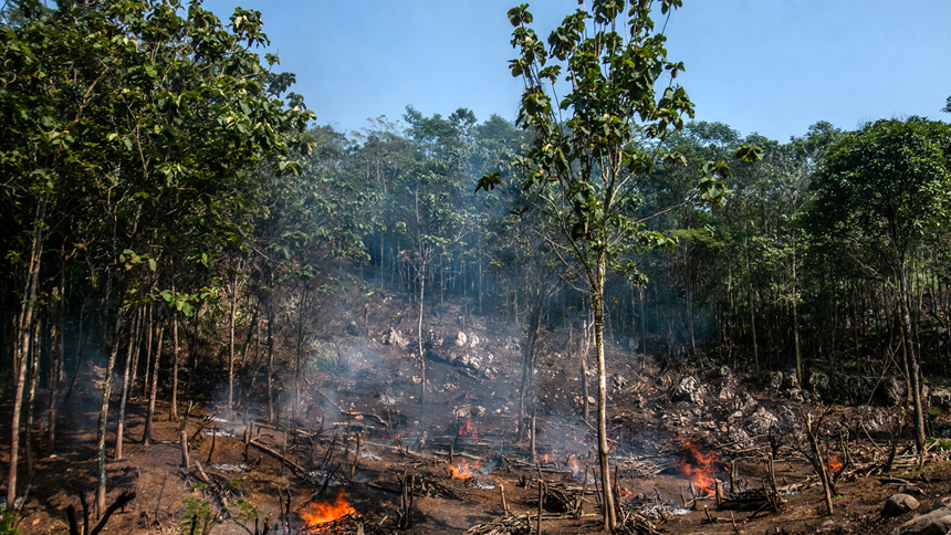 When the smoke clears — how to recover from fire events