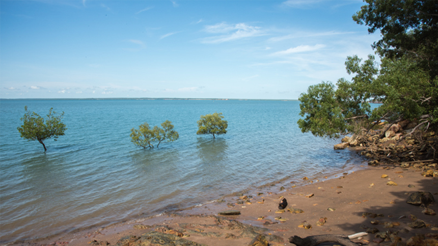 Rising seas: Holistic adaptation strategies for our coastlines