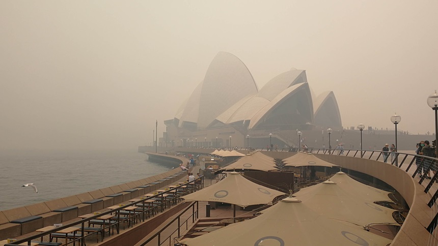 Life on a hotter, more polluted planet