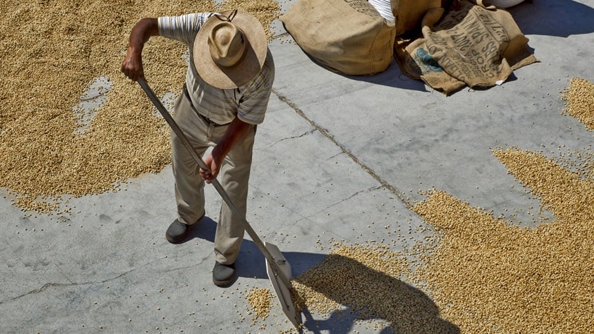 Microinsurance, macro opportunity?