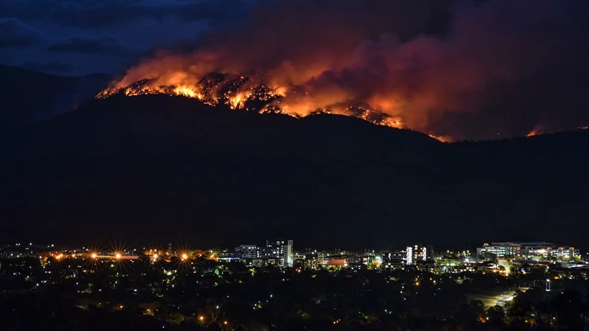 Counting the cost of insurance