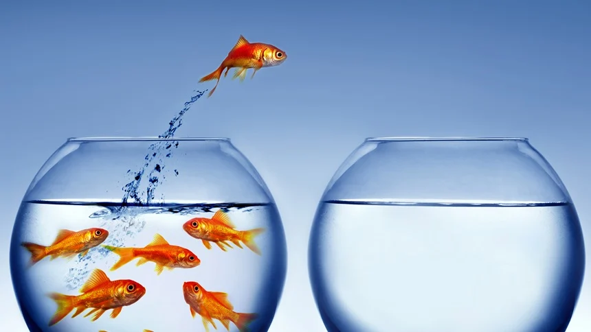 How the insurance industry can navigate the Great Resignation