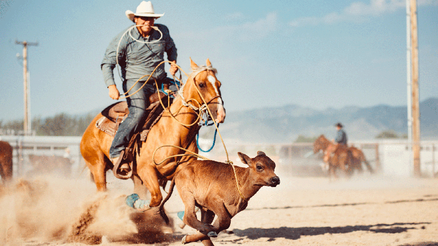 When ‘obvious’ risk isn’t so obvious in sport and recreation