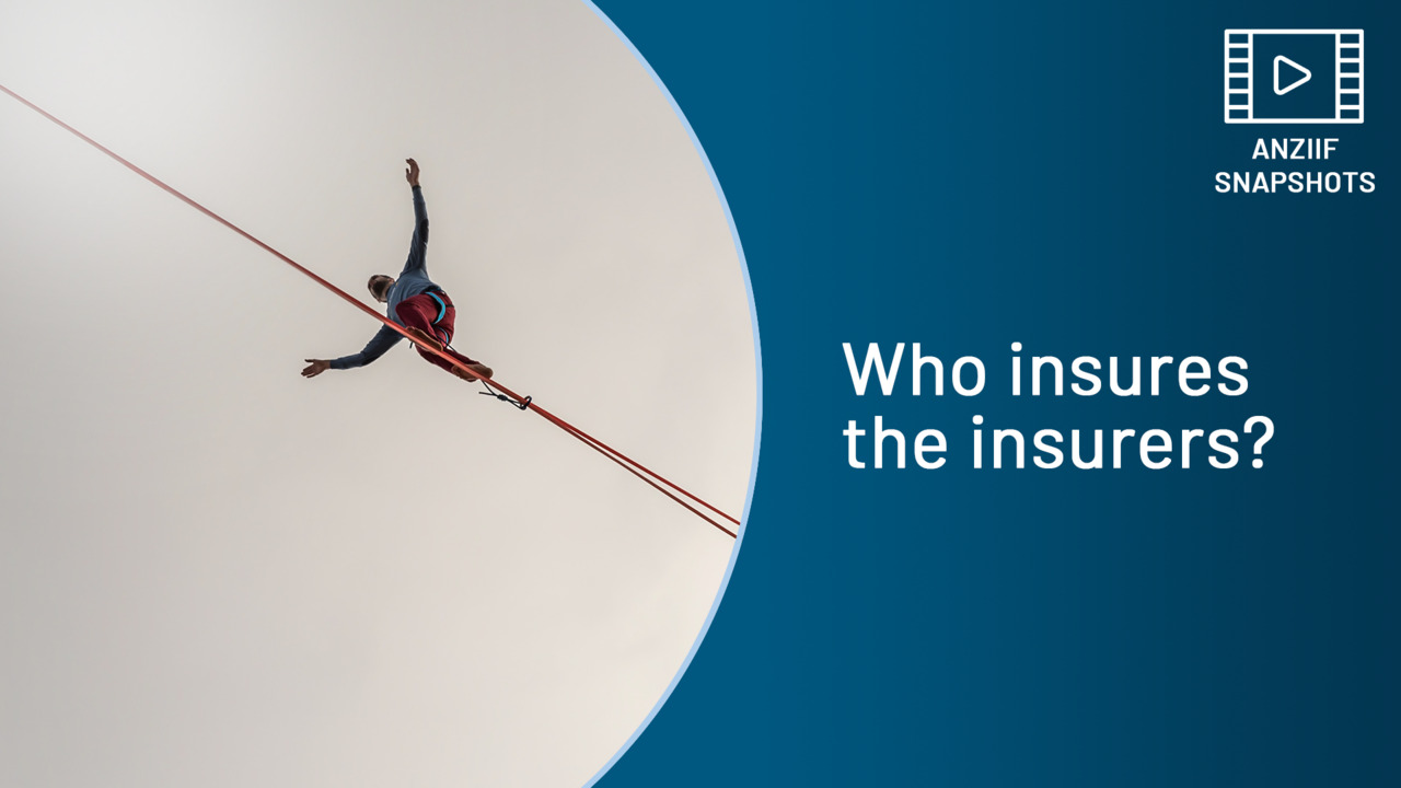 SNAPSHOT: Who insures the insurers?