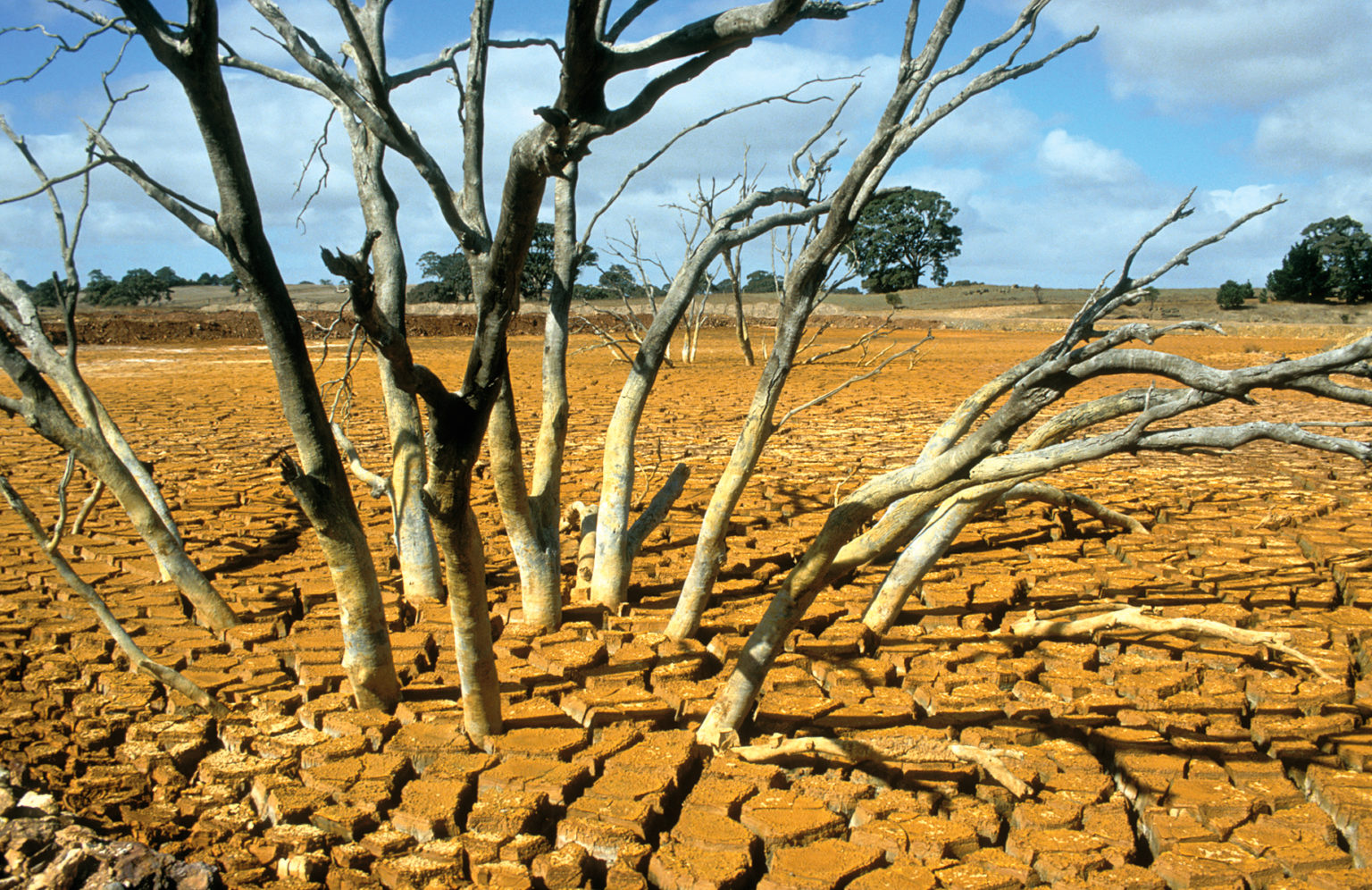 El Niño: The next test for insurers